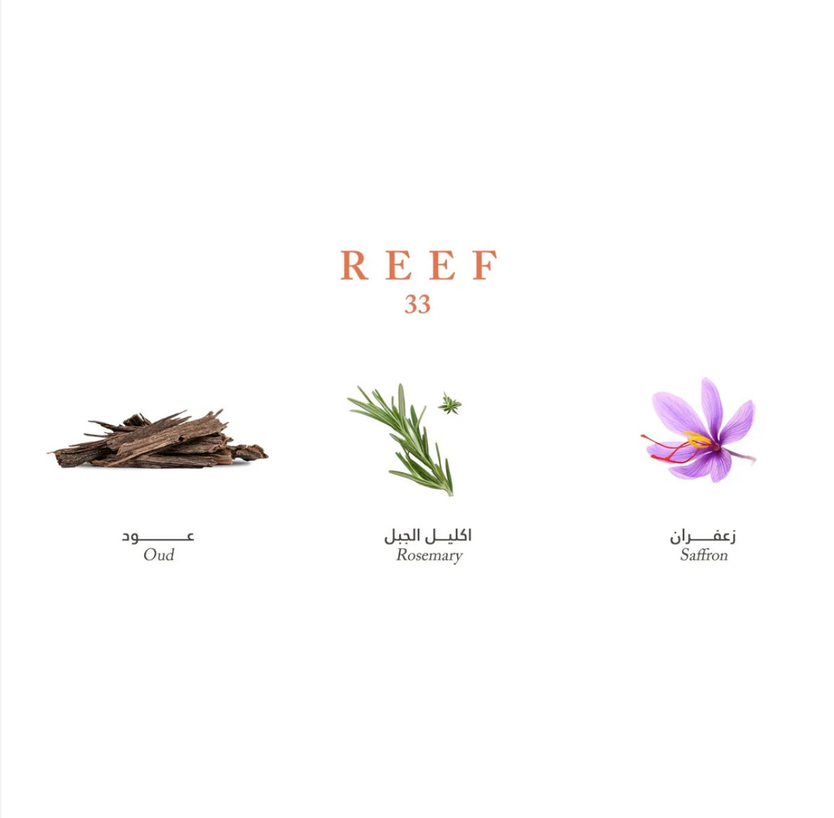 Reef 33 EDP 100ml