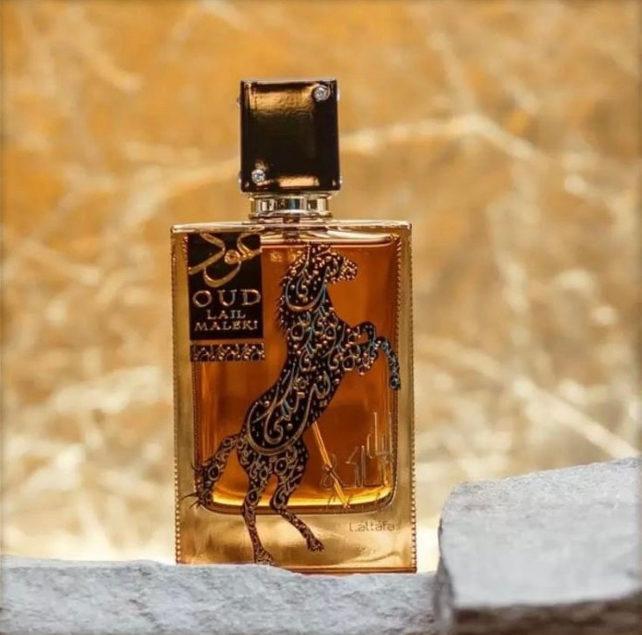 Lattafa Oud Lail Maleki 100ml EDP